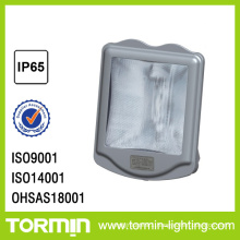 Glare free flood light